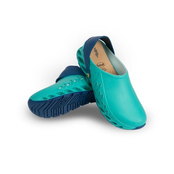 Scholl Evoflex